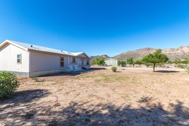 Saguaro (19)