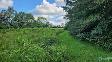 1708 W Market St, Athens, AL 35611 - photo 7