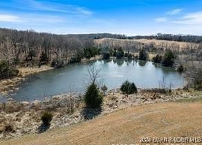 3059 Forbes Rd, Edwards, MO 65326 - photo 6