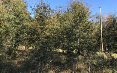 0 Mixson Rd unit 103008, Lake City, FL 32024 - photo 4