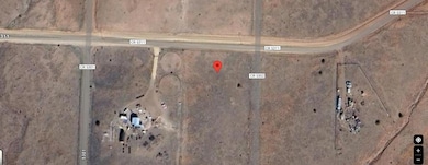 20 County Road 5311, Concho, AZ 85924 - photo 2