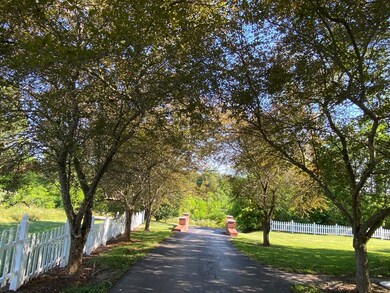 dreamy driveway