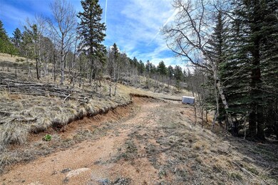 926 W Bison Creek Trail, Divide, CO 80814 - photo 3