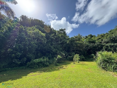 1 Bo Dominguito Carr 651, Arecibo, PR 00612 - photo 4