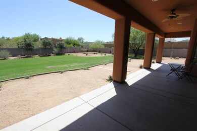 Back Patio - Yard