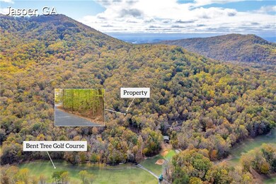 0 Crippled Oak Trail unit 7483547, Jasper, GA 30143 - photo 6