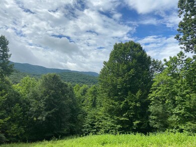 Buffalo Mountains 2