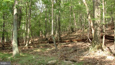 0 Tuscarora Trail unit 1000321760, Berkeley Springs, WV 25411 - photo 6