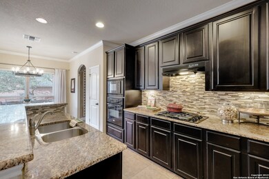 23907 Western Meadow, San Antonio, TX 78261 - photo 2