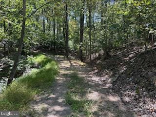 0 Palmer Rd unit WVBE2044118, Gerrardstown, WV 25420 - photo 4