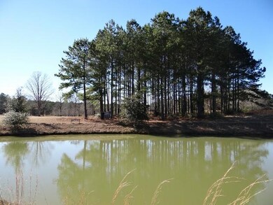 Pond