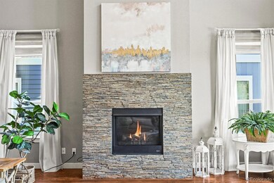 4378 Fell Mist Way, Castle Rock, CO 80109 - photo 5