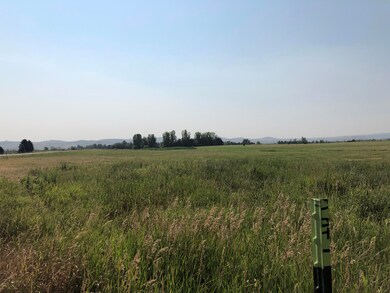 View 15