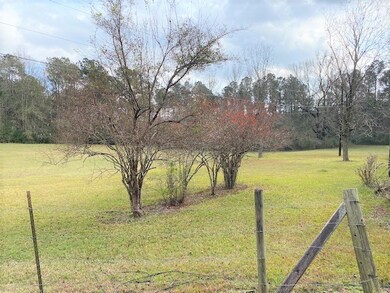 3164 Martin Rd, Summit, MS 39666 - photo 5