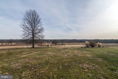 156 Cider Mill Rd, Flemington, NJ 08822 - photo 4