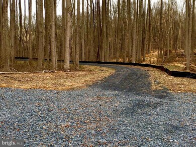 23360 Kirk Branch Rd, Middleburg, VA 20117 - photo 6