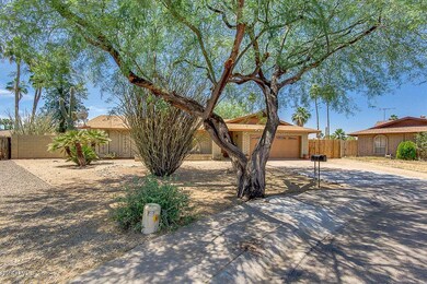 02-Sahuaro