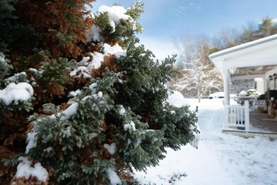 20 Boothby Rd, Limington, ME 04049 - photo 3