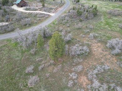 DJI_0586