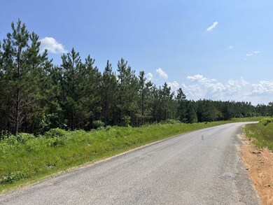 1 Rockhouse Rd, Flatwoods, TN 37096 - photo 5