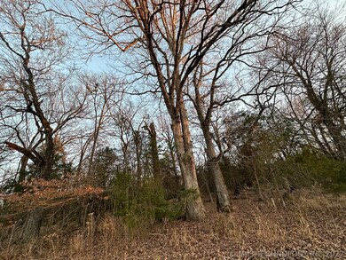 10 Stone Bluff Dr, Tahlequah, OK 74464 - photo 7