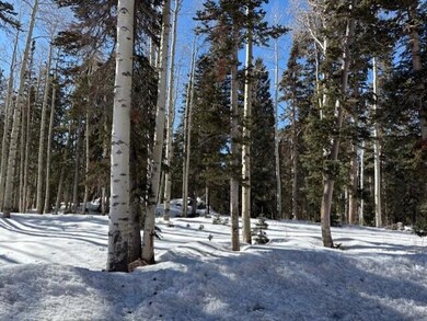 thumbnail_IMG_8598 (1)