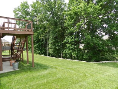 Back yard