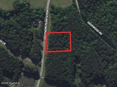 578 Southern Plantation Dr S, Oriental, NC 28571 - photo 4