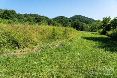 00 Shetley Rd, Iron Duff, NC 28785 - photo 5