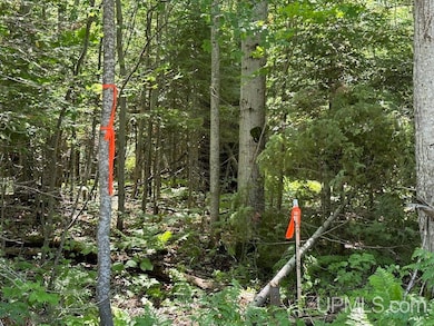 Parcel A Webb Rd, Burt Township, MI 49839 - photo 2