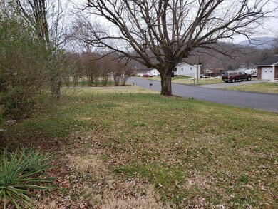 1501 Stoneybrook Dr, Johnson City, TN 37601 - photo 4