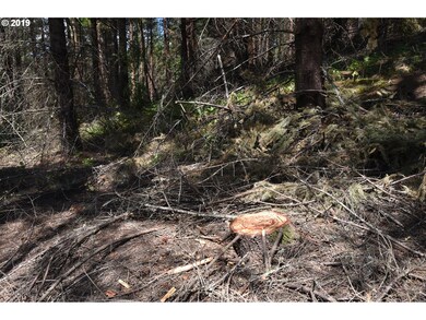 0 NW Meadow Lake Rd unit 19045317, Carlton, OR 97111 - photo 4