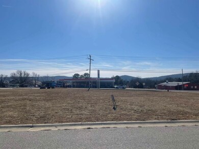 Lot 2 State 14, Mountain View, AR 72560 - photo 4