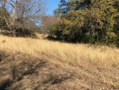 42038 Bay Hill Dr, Whitney, TX 76692 - photo 6