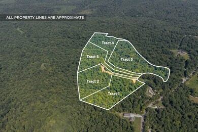 5 Lyle Hollow Rd, Palmyra, TN 37142 - photo 2