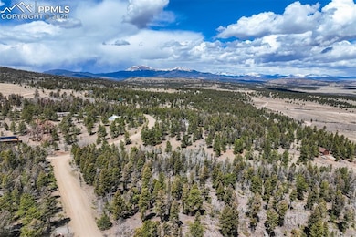 1430 Singletree Rd, Hartsel, CO 80449 - photo 6