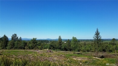 0 Dowling Rd unit 1137085, Toledo, WA 98591 - photo 3