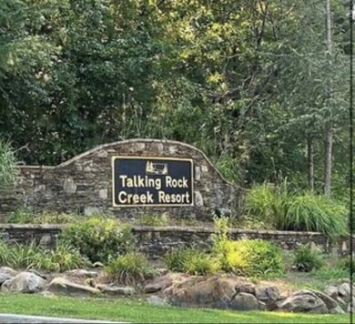 893 Newman Ct, Ranger, GA 30734 - photo 4