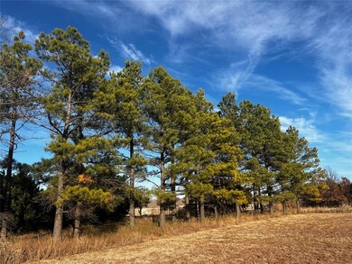 11925 Bryant Ln, Guthrie, OK 73044 - photo 7