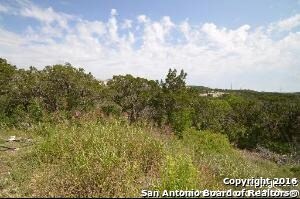 12303 Tatum, Helotes, TX 78023 - photo 3