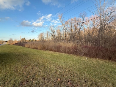 8096 New York 104a, Wolcott, NY 14590 - photo 4