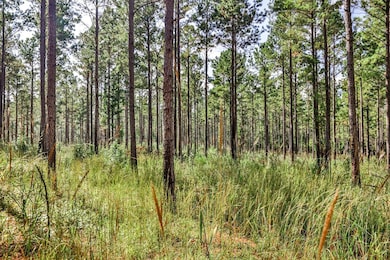 0 Old Zebulon Rd unit 25091897, Forsyth, GA 31029 - photo 7