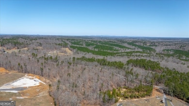 0 Snote Jones Rd unit 10651187, Dallas, GA 30132 - photo 3