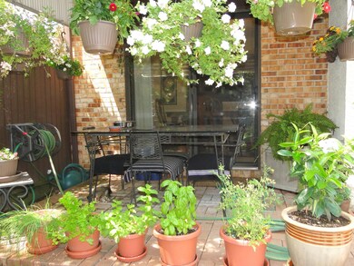 Patio 4