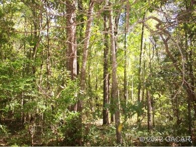 0 276th Place, Branford, FL 32008 - photo 2