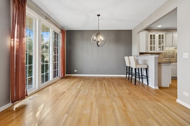 4284 Stableford Ln, Naperville, IL 60564 - photo 5