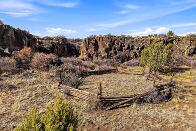 00 Tbd, Greer, AZ 85927 - photo 4