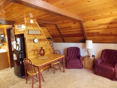 2882 big pine 002