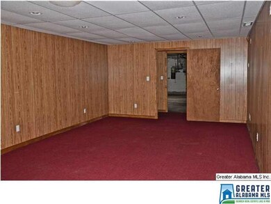 BASEMENT DEN