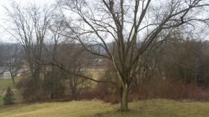 View (2) From Screened Porch